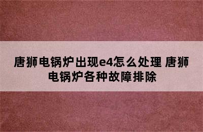 唐狮电锅炉出现e4怎么处理 唐狮电锅炉各种故障排除